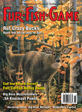November 2004 whitetail deer