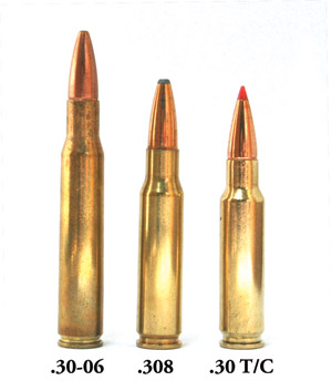 guns-cartridge-a.jpg