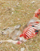 Airgun Deer Hunting