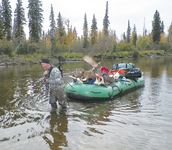 Alaskan Moose weighing down a raft
