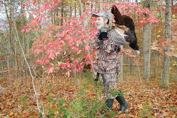 hunting turkey in the fall woods