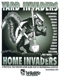Yard Invaders - Home Invaders
