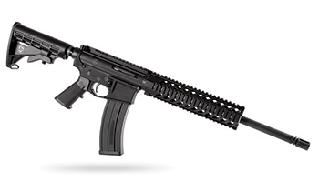 Plinker Arms AR-15 22LR