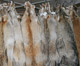 Fur Auction Results