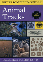 Animal Tracks