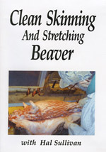 Beaver Skinning Video