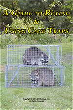 A guide to buying and using cage traps