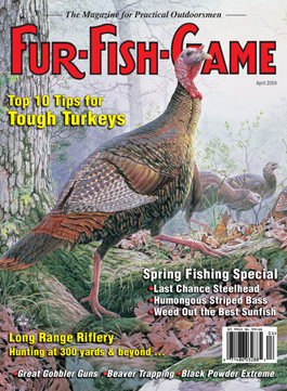 April 2004 turkey