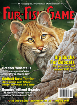 October 2004 bobcat