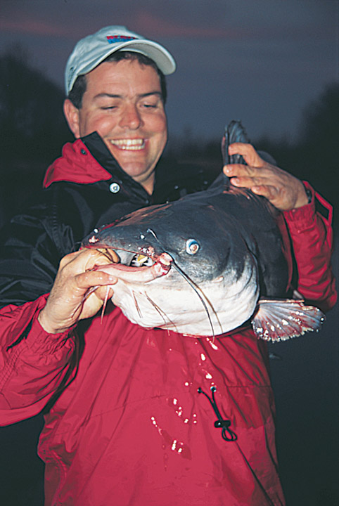 Big Blue Catfish
