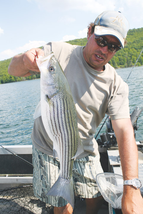 Fisherman with Striper