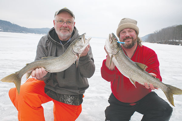 lake trout