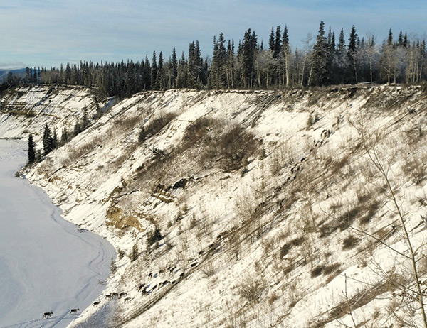 caribou crossing frozen tundra