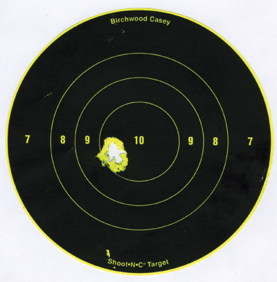 Benjamin Trail Nitro Piston target