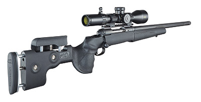 savage arms model 10 grs