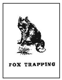 Fox Trapping