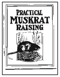 Practical Muskrat Raising