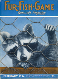 February 1934 raccoon