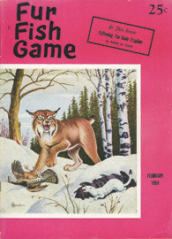 February 1959 lynx killing bird