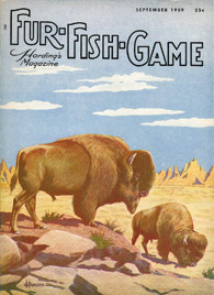 September 1959 bison