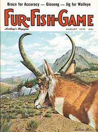 August 1978 antelope