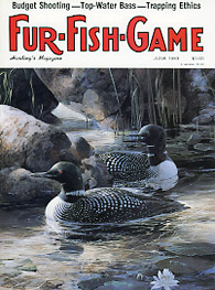 January 1983 Ducks