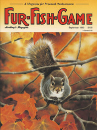 September 1990 squirrel