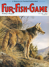 June 1992 Coyote