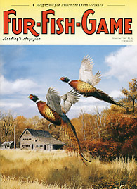 November 1997 Pheasant
