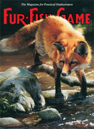 August 2004 Fox