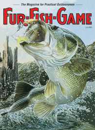July 2005 leaping bass