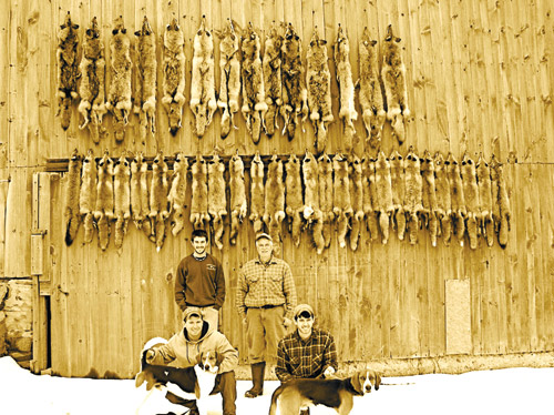 Joe, Tom, Jim & Dick Sheflin