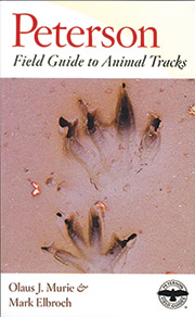 Animal Tracks