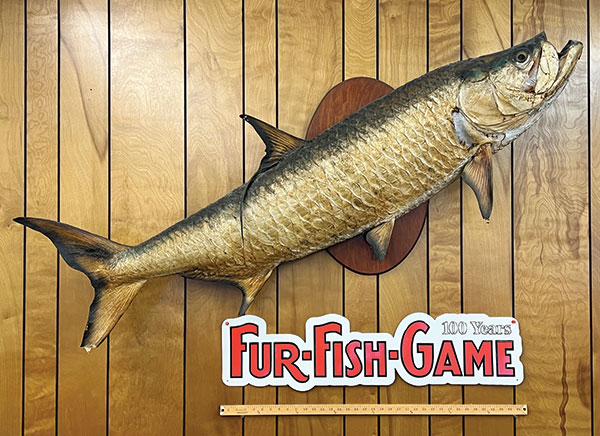 metal3-under-tarpon