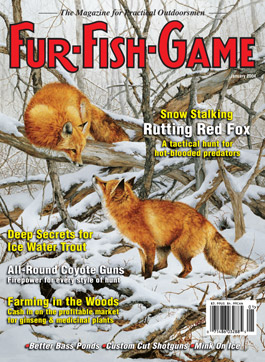 JanuaryCover2004.jpg