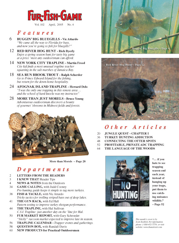BackIssues/2005/April2005Pg1.jpg