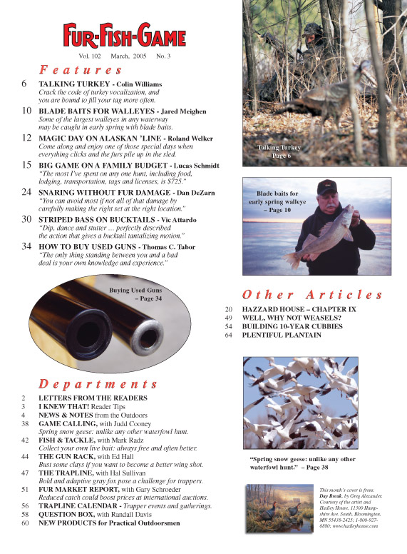 BackIssues/2005/March2005Pg1.jpg