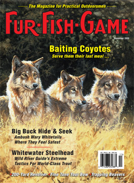 BackIssues/2005/November2005Cover.jpg