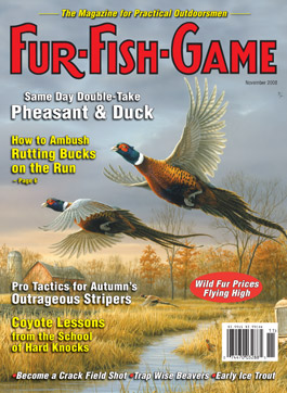 NovemberCover2008.jpg