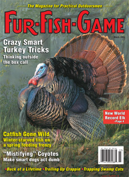 marchcover2009.jpg