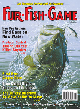 marchcover2010.jpg