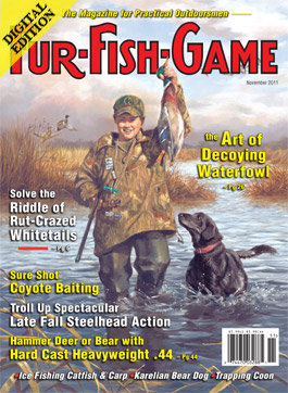 d-novembercover2011.jpg