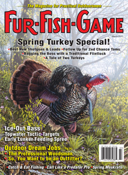 marchcover2011.jpg