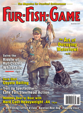 novembercover2011.jpg