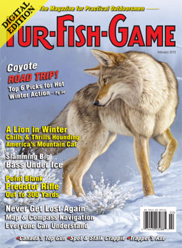 d-februarycover2012.jpg