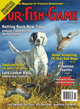 d-novembercover2012.jpg