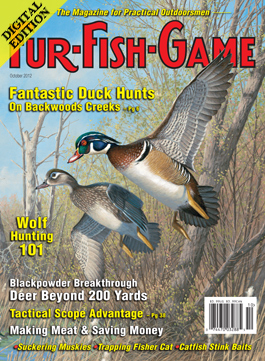 d-octobercover2012.jpg