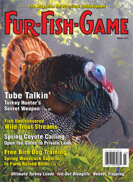 marchcover2012.jpg