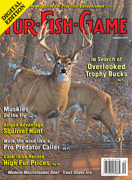 d-decembercover2013.jpg