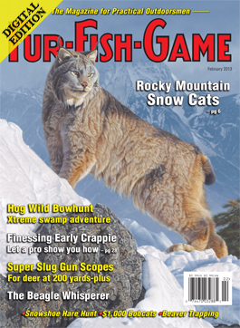 d-februarycover2013.jpg